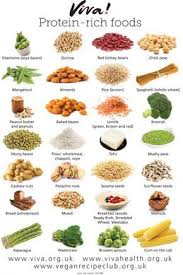 vegan protein rich foods high protein foods list protein