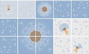 Fayans Cizikleri Nasil Giderilir