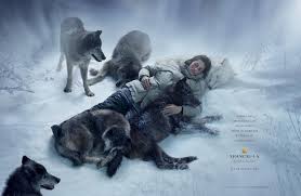 Перевод песни wolves — рейтинг: Which Wolf Will You Feed Or The Unedited Story Of The Two Wolves