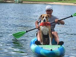 We did not find results for: Perception Hi Life 11 0 Stand Up Paddle Board Kayak Dick S Sporting Goods