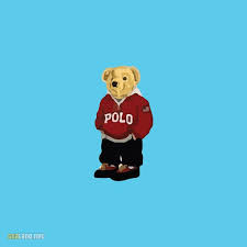 T Shirt Polo Bear For T I P Iphone Wallpaper Polo Bear Bear Wallpaper