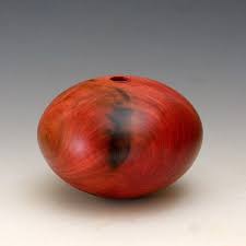 Image result for Berchemia zeyheri