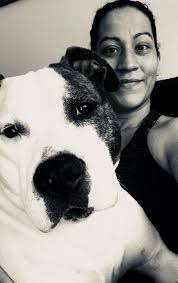 Just some pupys off ch bolito