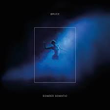 Sonder Somatic Lp