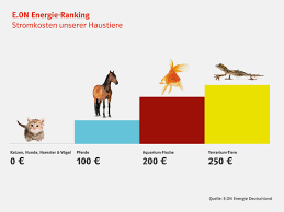 Wir fordern euch heraus, eine katze mit einer einzelnen ununterbrochenen linie zu malen und die buchstaben dso im gemälde zu integrieren! Internationaler Katzentag Stubentiger Sind Die Stromsparendsten Haustiere Presseportal