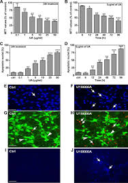 Maybe you would like to learn more about one of these? Role Of Cathepsin D In U18666a Induced Neuronal Cell Death Journal Of Biological Chemistry