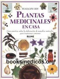 Disfrute de las fragantes propiedades de las hierbeas durante todo el. Plantas Medicinales En Casa Penelope Ody Booksmedicos