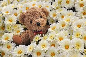 Check spelling or type a new query. Teddy Bear In Flowers Little Teddy Bear In Lovely Flowers Background Aff Flowers Bear Teddy Bac Teddy Bear Pictures Teddy Bear Teddy Bear Wallpaper