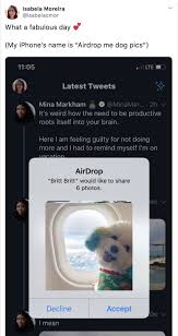 15 Airdrops That Are Funny Weird Or 100 Ones To Decline Find the best verified free cryptocurrency airdrops! 15 airdrops that are funny weird or