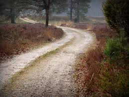 Following the principle of balance, anselm kiefer frequently applies specific objects to his. Tandaradei Foto Bild Landschaft Heide Luneburger Heide Bilder Auf Fotocommunity