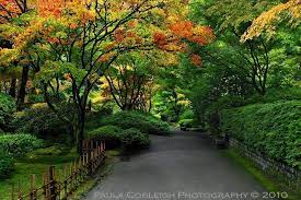 اجمل صور مناظر طبيعية places to go favorite places country roads