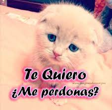 Perdoname Imagenes Con Frases De Perdon Con Amor Descargar Imagenes 2022