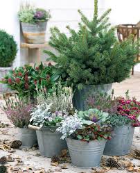 How to make a winter container garden. 28 Beautiful Outdoor Winter Container Gardening Ideas Vanchitecture Container Garden Design Winter Container Gardening Winter Garden