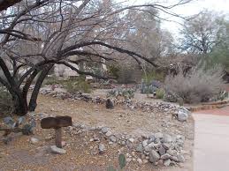 Lake havasu rv, boat & self storage 1808 victoria farms rd lake havasu city, az 86404 phone: Arroyo De Camino Cactus Garden Located Within Lake Havasu State Park Picture Of Lake Havasu State Park Lake Havasu City Tripadvisor