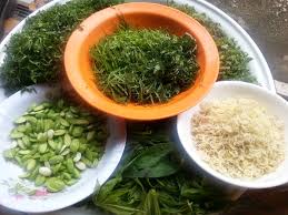 Resepi Nak Buat Tempoyak Daun How To Dry Basil Herbs Food