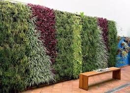 Any well lit place inside your home, would make a suitable environment for a green wall. 3 Reasons To Make A Living Wall And 25 Cool Examples Gardenoholic