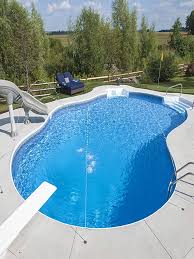 At fox pools & spas, we have all the added features and more to customize your backyard project. Fox Pools Ultra Modern Pool Patio