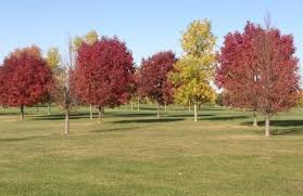User photos of south hills golf course. Golf Cedar Falls Tourism Visitors Bureau