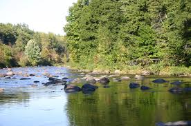 10 best born and rasied images little falls new york state places pinterest