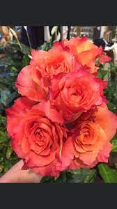 Pueblo florist offering the best selection of beautiful flowers for your special occasion ! Buzzy Bee Flowers Gifts Home Facebook