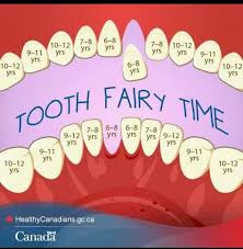Loss Of Milk Teeth Tooth Fairy Dental Fun Kids Teeth
