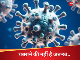 How dangerous HMPV Virus be in India in coming days Know about virus from  experts in Hindi | भारत में आने वाले दिनों में HMPV कितना होगा खतरनाक?  एक्सपर्ट से जानिए वायरस