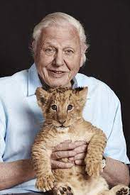 Now fans of the planet earth narrator will soon be able to have an up close and personal journey of their. David Attenborough David Attenborough Cat People Men With Cats