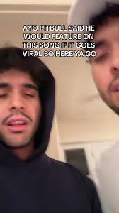 Download Pitbull Songs: Put Your Hands Up in the Sky