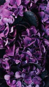 Free shipping on orders over $25 shipped by amazon. Vintage Floral Iphone Wallpaper Collection Preppy Wallpapers Purple Flowers Wallpaper Flower Iphone Wallpaper Flower Wallpaper