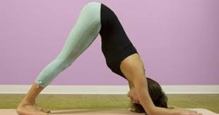 Frog Pose Yoga Mandukasana Dolphin Pose Yoga Poses For Beginners Frog Pose Yoga