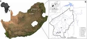 a Location of Misgrot and the Cradle of Humankind (CoH) in South ...