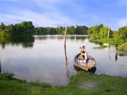 Find your perfect hd & 4k wallpaper from our hand crafted collection. Bangladeshi Google Search