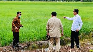 Perkembangan pembangunan pertanian memiliki 3 tahap. Wamenhan Bongkar Rencana Besar Lumbung Pangan Jokowi Prabowo
