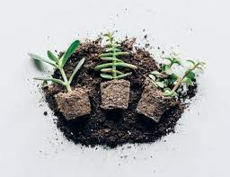 Check spelling or type a new query. Flexible And Work At Home Jobs For People With A Green Thumb