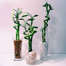 Pin Auf Chiara Pastori