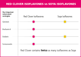Phytoestrogens Explained Promensil Menopause Health Hub