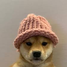 I just have a feeling kungen in general is just bored of games and just doesn't really know what he wants to play (actually nothing). Issa Twitch