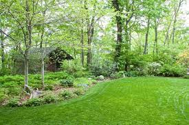 J Paul Moore Photography Specializes In Garden Scenic Nature And Landscape Architecture Photography Li Native Landscaping Shade Garden Native Plant Gardening