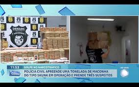 Polícia Civil apreende 1 tonelada de maconha do tipo Skank em operação e prende 3 suspeitos