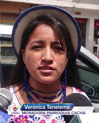 Edison Campos Collaguazo