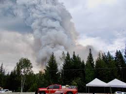 The original declaration was made on march 18, 2020, the day after dr. No State Of Emergency Declaration For B C Quesnel Cariboo Observer