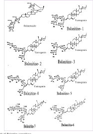 Image result for Balanites pedicellaris