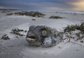 زب نيك بنات she is a gorgeous, tall women with flowing red