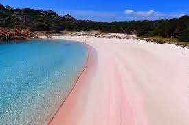 Budelli is an island in the maddalena archipelago, near the strait of bonifacio in northern sardinia, italy. Spiaggia Rosa The Pink Beach Of The Budelli Island Hostour Visit Sardegna