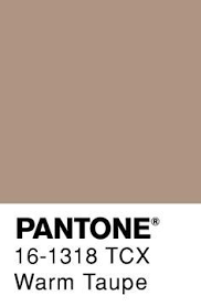 pin oleh maggie todd di warm taupe pantone color warna blog fotografi 2019 nail polish