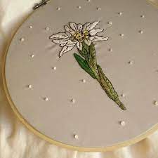 Edelweiss Flower Embroidery Edelweiss Flower Edelweiss Flower Embroidery Designs