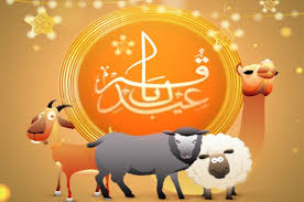 2 hours ago · eid mubarak. Eid Ul Adha Posters Eid Ul Adha Mubarak Poster Hd Image