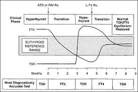 Image result for Thyroid Function Test