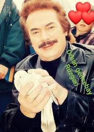 Kozlukebir Güvercin Sevenler