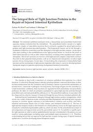 Papa mol schneemann / lernwiese die bildgeschichte. Pdf The Integral Role Of Tight Junction Proteins In The Repair Of Injured Intestinal Epithelium